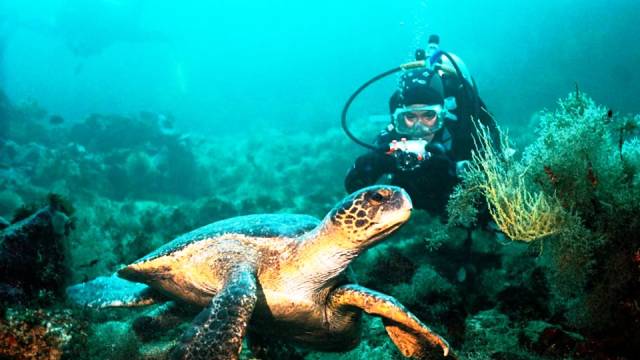 Galapagos Islands, Ecuador - World's Best Places for Scuba Diving
