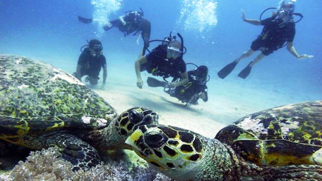 Gili Islands, Indonesia - World's Best Places for Scuba Diving