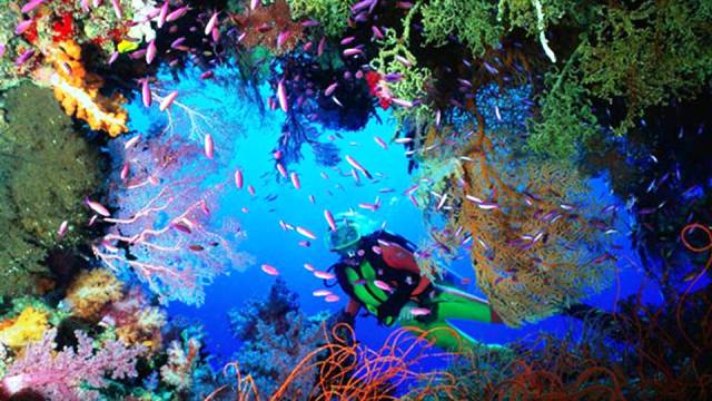 The Great Barrier Reef, Australia - World's Best Places for Scuba Diving