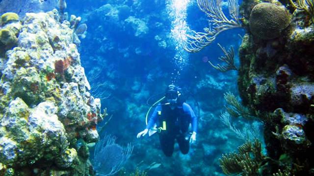 Utila, Honduras - World's Best Places for Scuba Diving